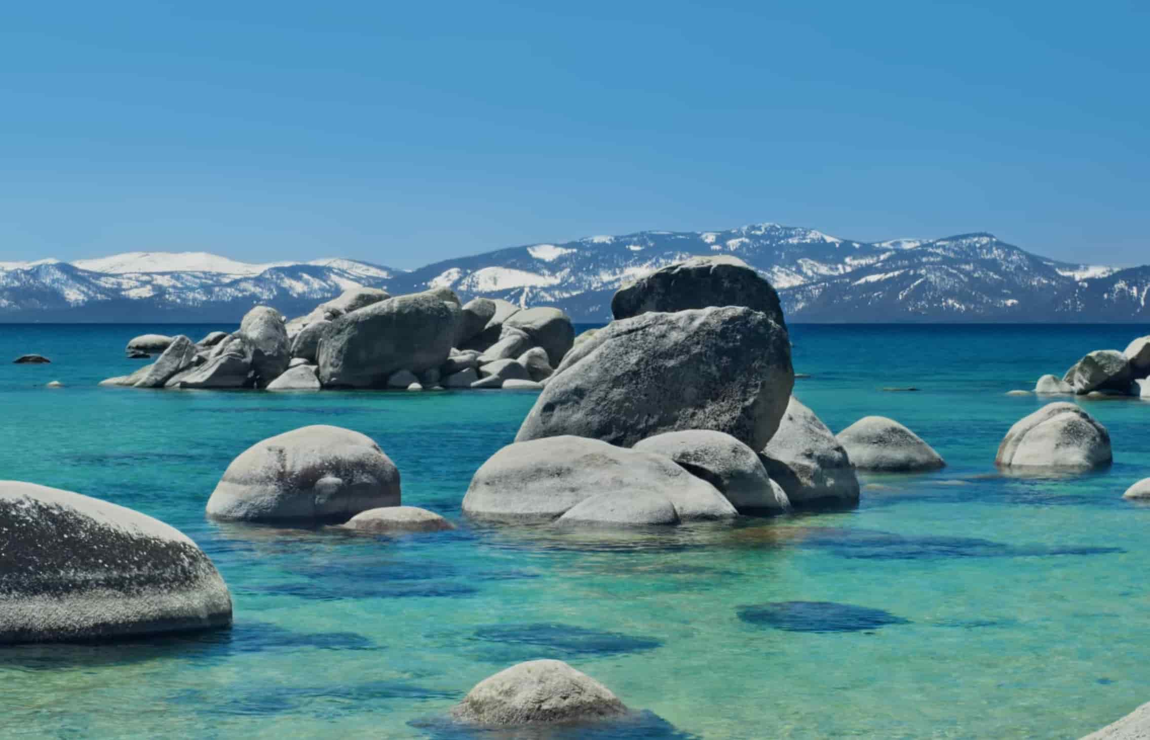 学内・地域で使える！Flutterで簡単イベント管理アプリ【要件定義付き】 のサムネイル